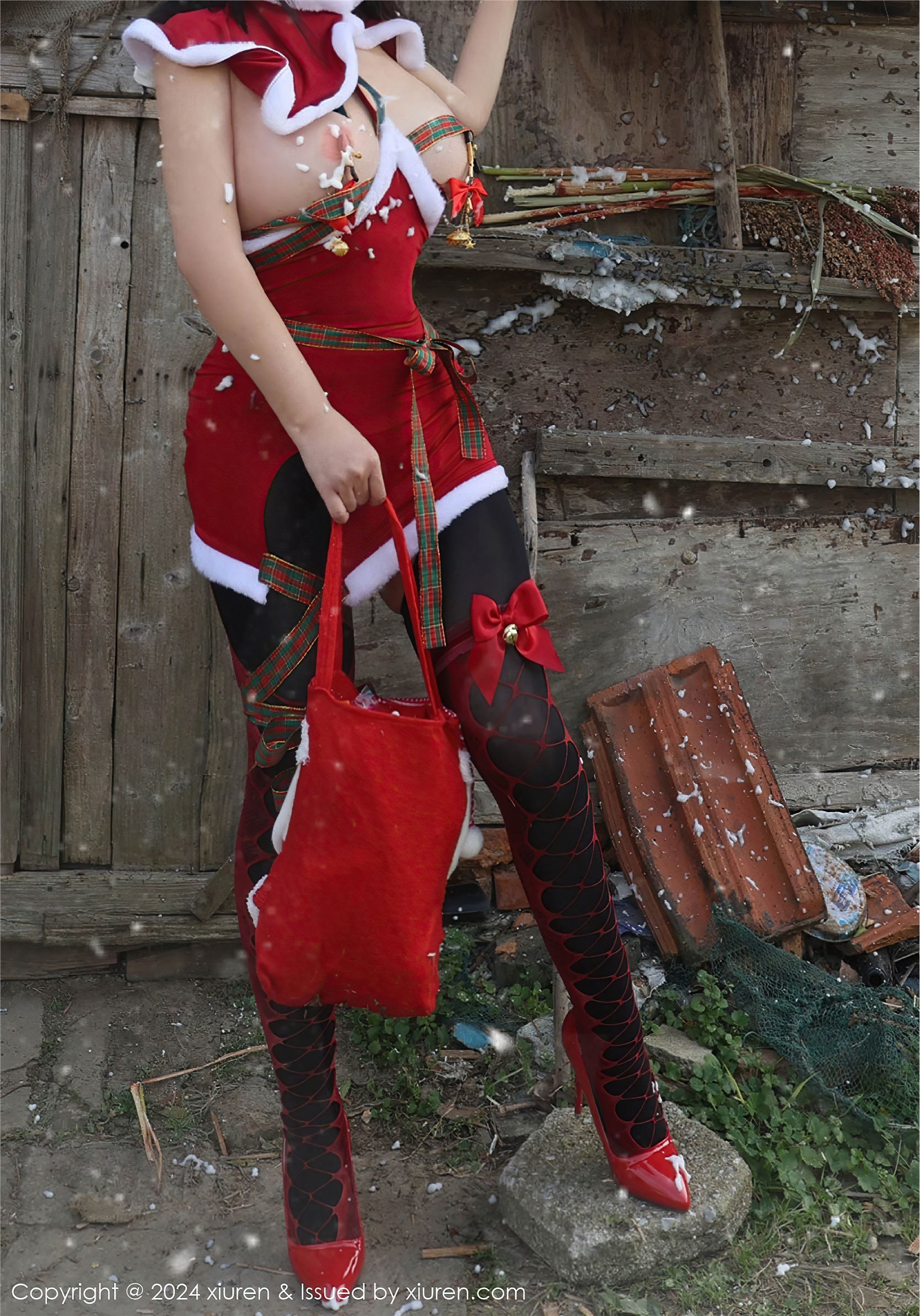 Xiuren秀人网 2024.12.20 NO.9630 小薯条nienie